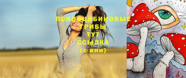 мдпв Касимов